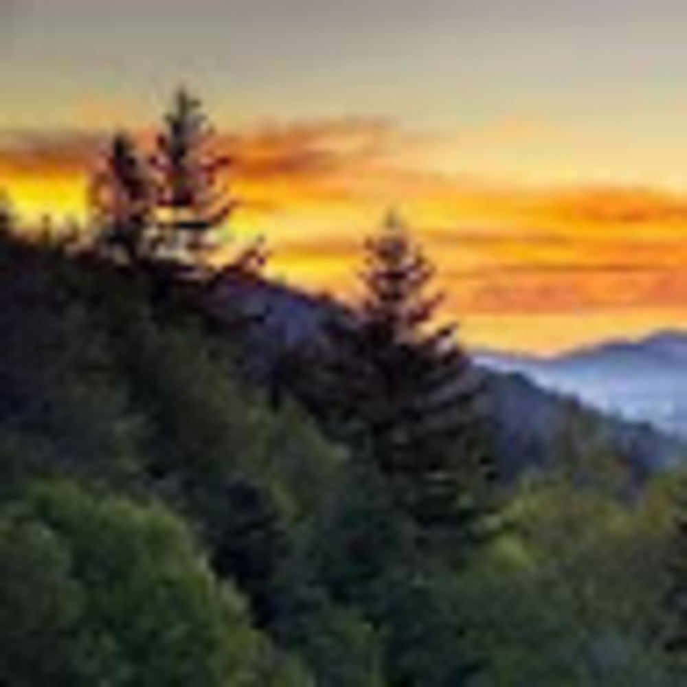 Meet your Posher, Brook